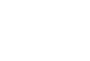 Energex